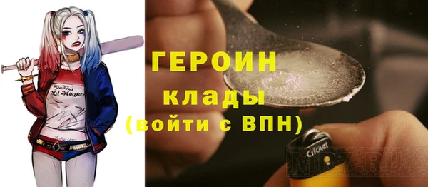 молекула духа Богородицк
