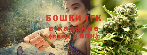 молекула духа Богородицк