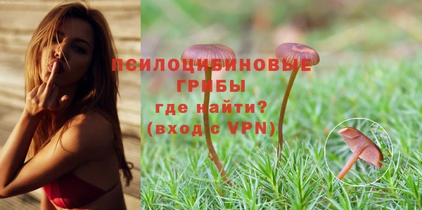 гашиш Богородск