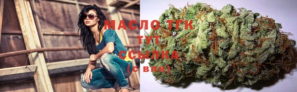 молекула духа Богородицк
