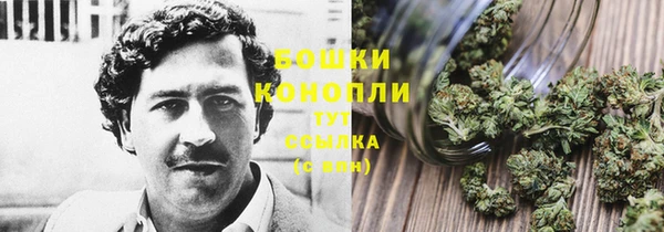 молекула духа Богородицк