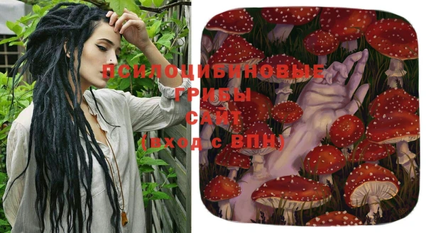 молекула духа Богородицк