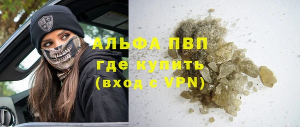 молекула духа Богородицк